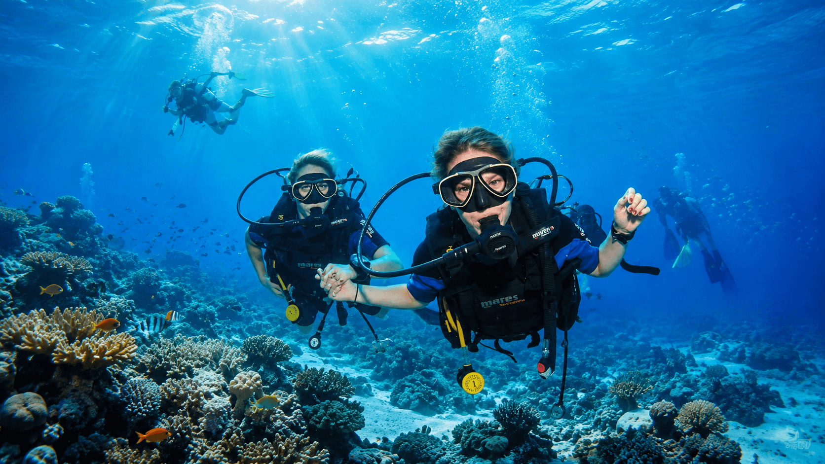 Scuba Diving Experience
