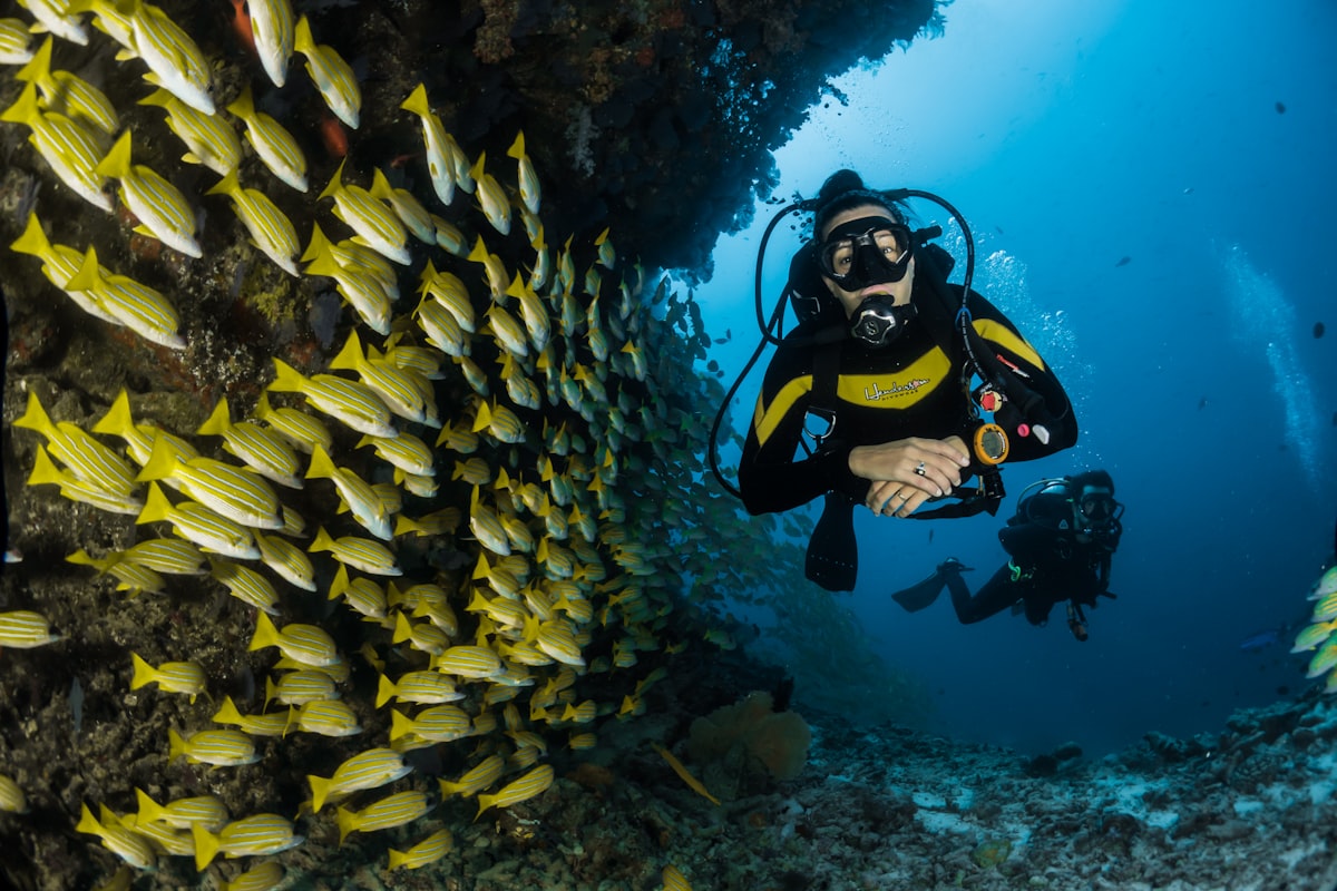 Goa coastline ocean adventure